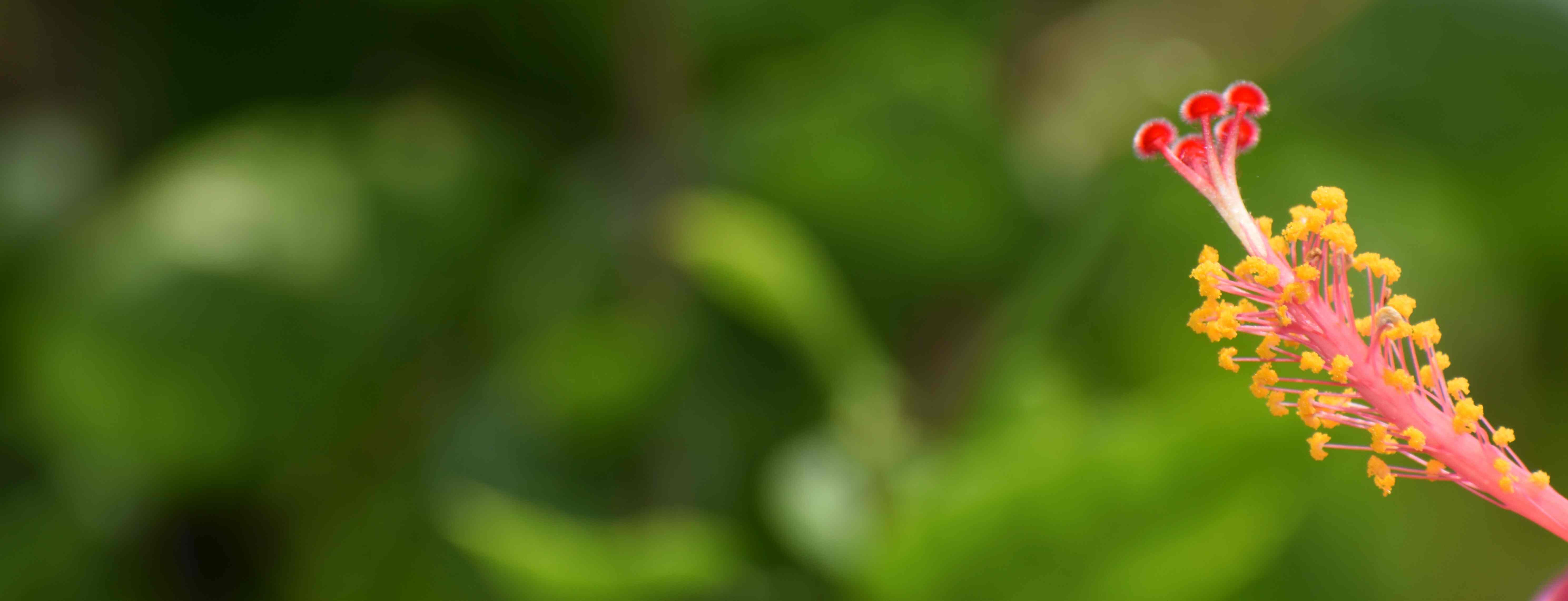 In this post I intend to provide the readers with basic concepts they need to start working with elasticsearch, and then carve their way to understanding it deeply themselves while using it /tech-elasticsearch-1/Featured.jpg